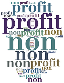 Non-Profit-Organization_large